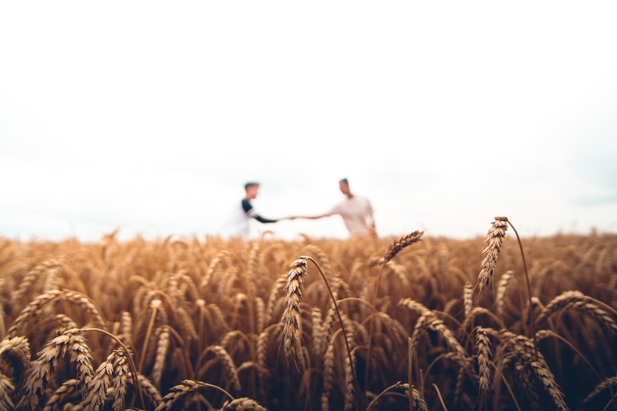 Materie prime agricole